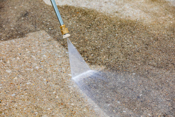 Best Animal Enclosure Cleaning  in Gordon Heights, NY